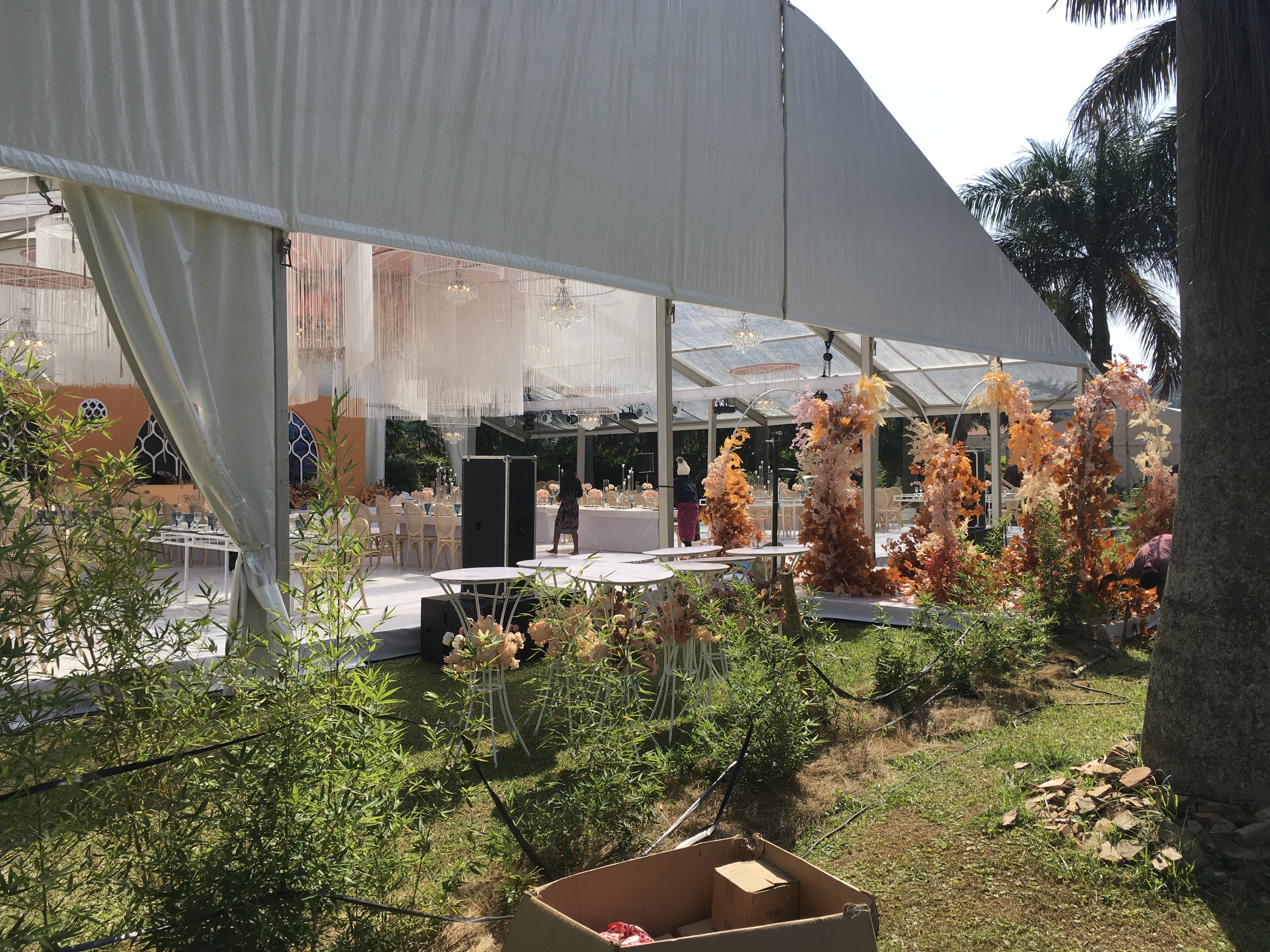 Palm Gardens