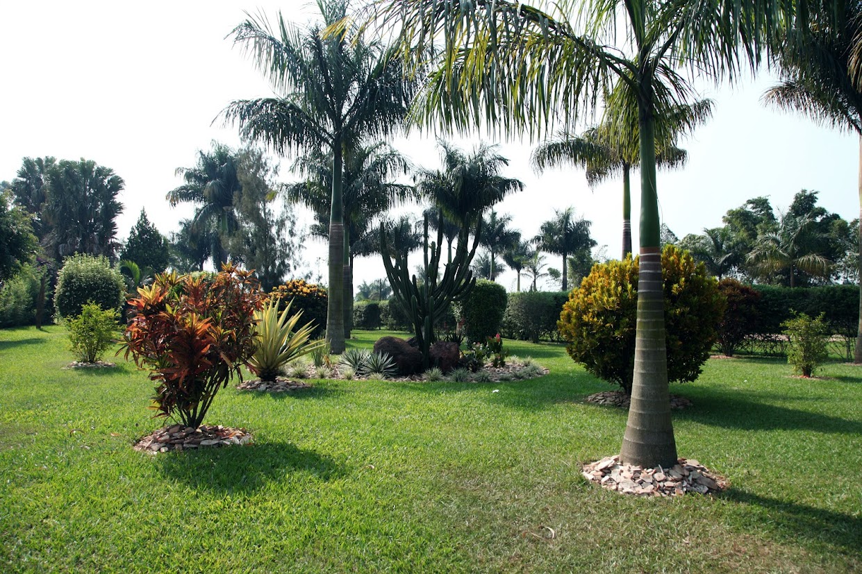 Palm Gardens Grounds